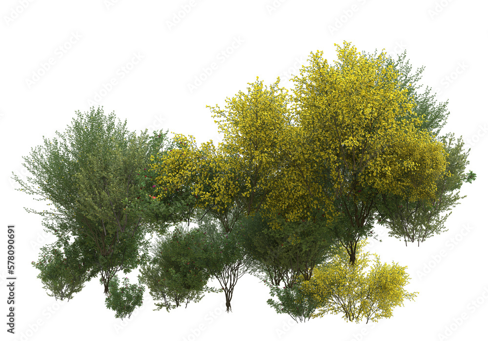 Poster field of grass isolated on transparent background. 3d rendering - illustration