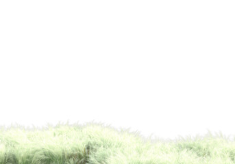 Tall plants on transparent background. 3d rendering - illustration