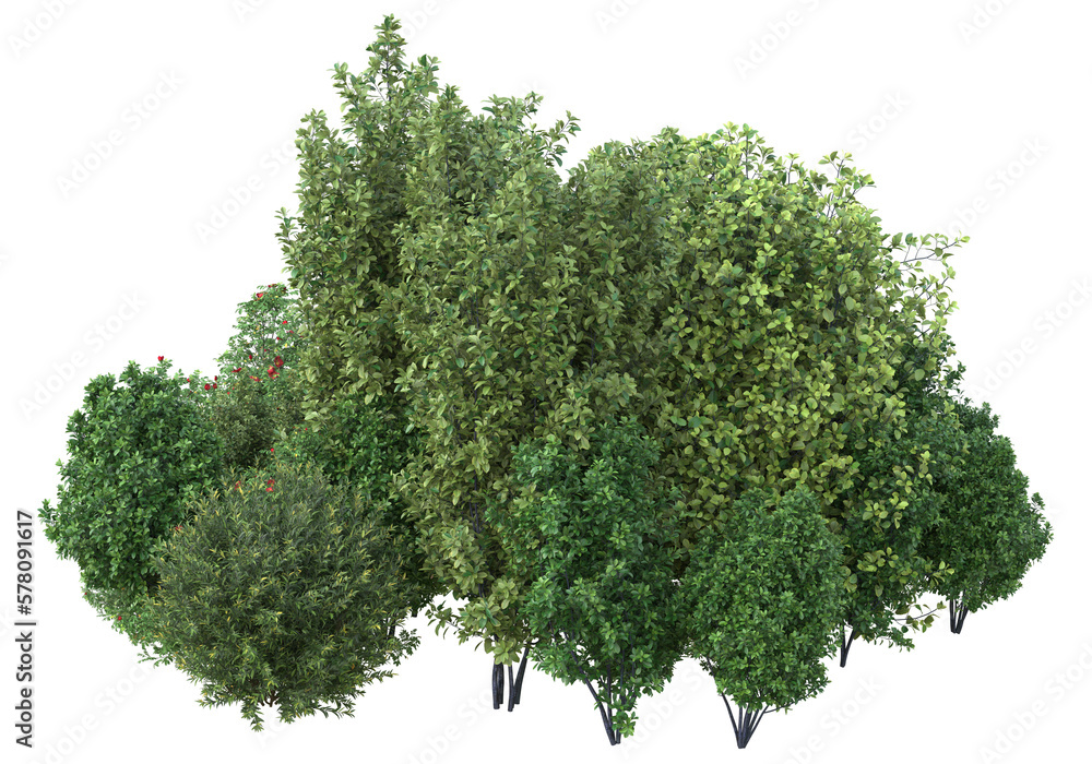 Poster foliage isolated on transparent background. 3d rendering - illustration