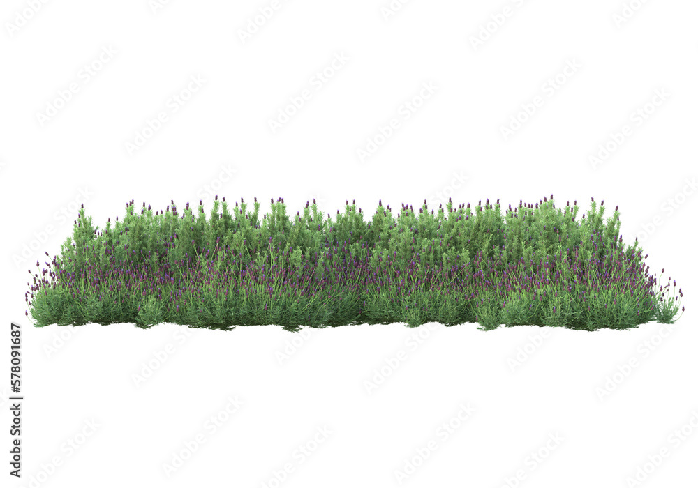 Poster foliage isolated on transparent background. 3d rendering - illustration