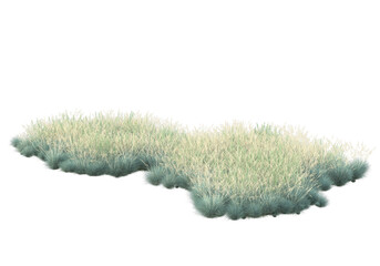 Foliage isolated on transparent background. 3d rendering - illustration