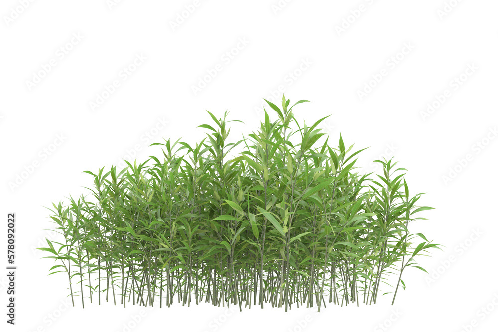 Poster foliage isolated on transparent background. 3d rendering - illustration
