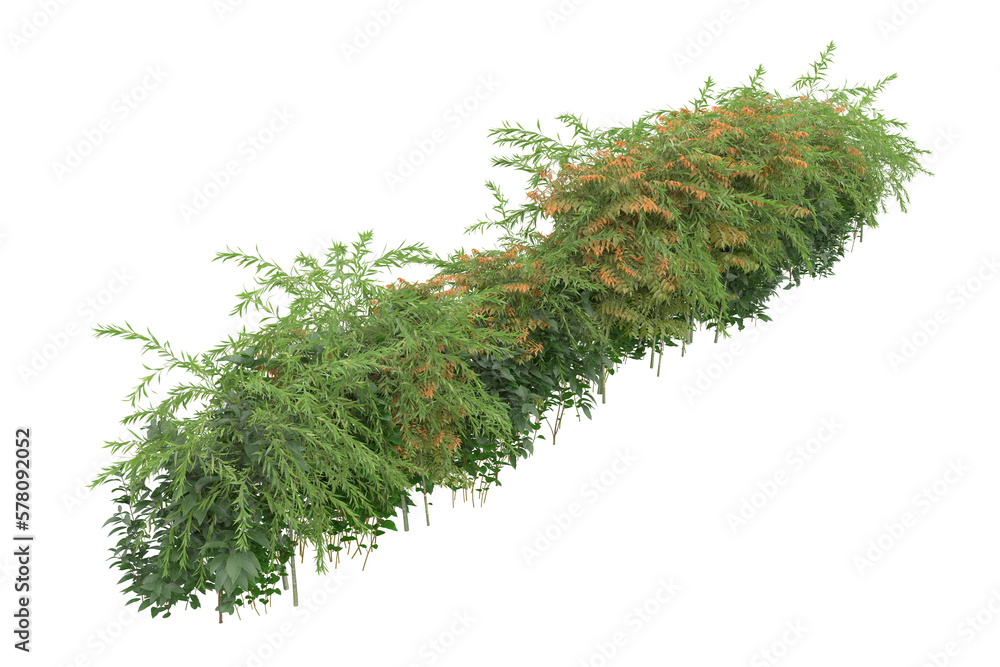 Poster foliage isolated on transparent background. 3d rendering - illustration