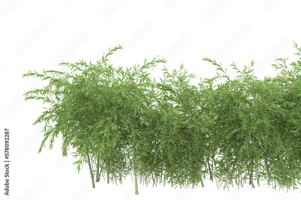 Poster foliage isolated on transparent background. 3d rendering - illustration