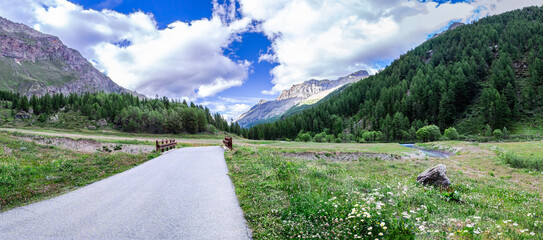 Fototapete bei efototapeten.de bestellen   