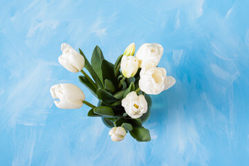 White tulips in vase on blue background. Top view