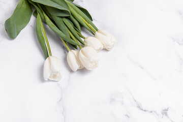 White tulips on marble background. Space for text. Spring bouquet