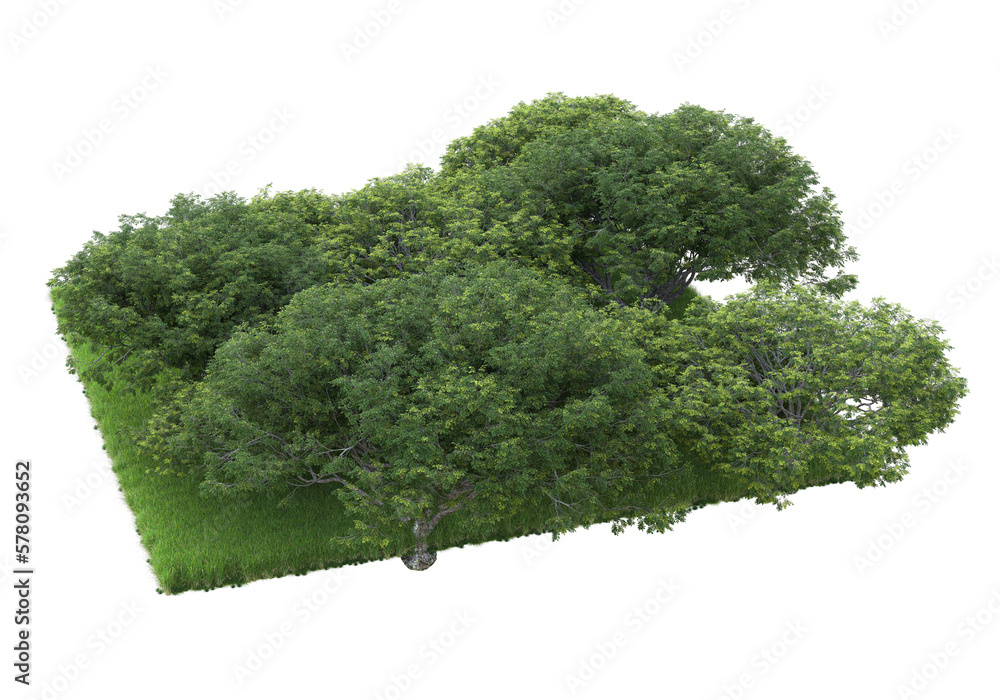 Poster realistic forest island on transparent background. 3d rendering - illustration
