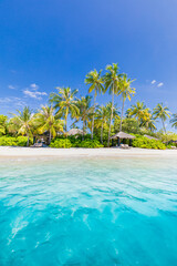 Closeup sea sand palm trees beach. Panoramic island landscape. Inspire tropical coast sea bay...