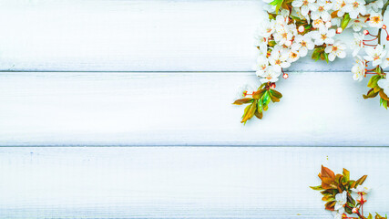 Spring background table. May flowers and April floral nature on wooden. For banner, branches of blossoming cherry against background. Copy space.