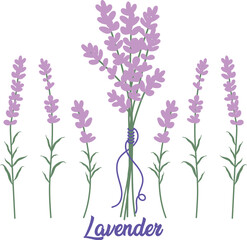 Obraz premium lavender flowers in vase