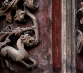 Peque&ntilde;o animal en el ayuntamiento