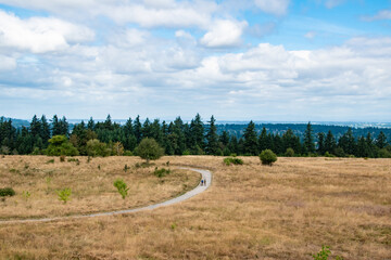 Fototapeta na wymiar Trail and Rolling Hills With Dry Meadows in Powell Butte Park in East Portland, OR