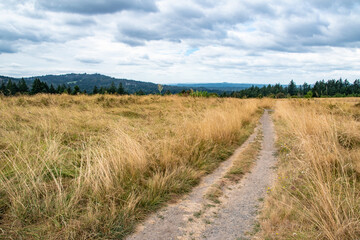 Trail and Dry Meadow in Powell Butte Park in East Portland, OR