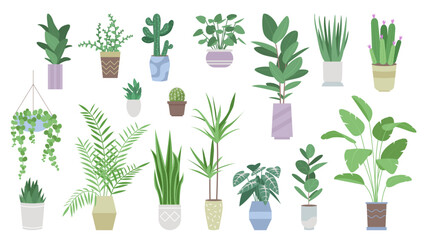 Fototapeta na wymiar Green plants for house decoration set vector illustration. Cartoon flowerpots and vases with palm trees and tropical succulent plants, hanging planter and pot stands, modern houseplants collection
