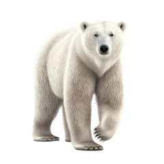 Foto op Canvas polar bear isolated on white background © purich