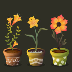 Three flowers in pots. Yellow daffodil, orange poppy and yellow lily in a pot. Cute simple card with spring flowers. Plant pots and soil. Cartoon postcard for girls, women, mothers, grandmothers