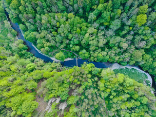 view of green forest