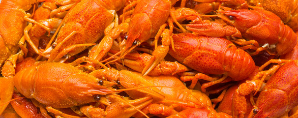 boiled crayfish group close-up for banner background