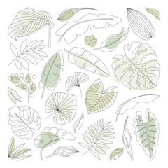 Tropical plant line art set. Doodle sketch art of monstera and philodendron leaves, exotic flowers, tropical tree © Mykola Syvak