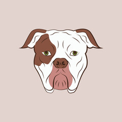 brown white pitbull vector drawing 