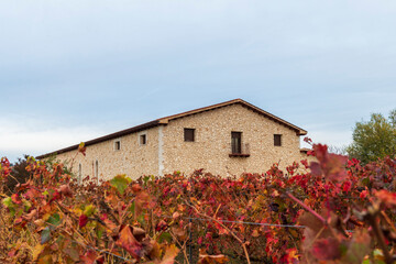 caserio de piedra en castilla españa © andromedicus