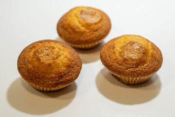 MAGDALENAS CASERAS AL HORNO TIPICO ESPAÑA