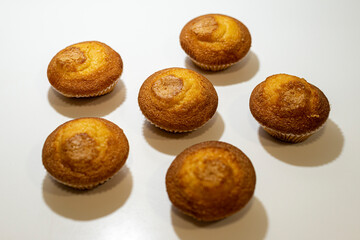 MAGDALENAS CASERAS AL HORNO TIPICO ESPAÑA