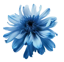 Zelfklevend Fotobehang Blue flower isolated on white background, png with transparency  © neirfy