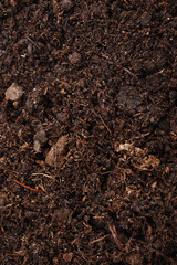 fertile soil for planting and growing plants. 