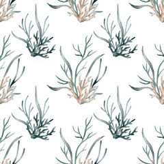 Naklejka na ściany i meble Seamless pattern with watercolor seaweed and coral. Hand painted seashells pattern. Watercolor vintage ocean background. Original hand drawn illustration. Marine design.