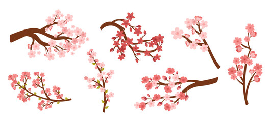 Set of Sakura Cherry Branches With Pink Blooming Flowers Isolated On White Background. Collection Of Spring Fruit Tree