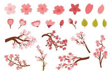 Set Of Sakura Cherry Flower Bloom Isolated On White Background. Pink Blossoms, Green Leaves And Branches Design Elements © Anna Syvak