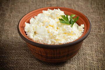 homemade cottage cheese in ceramic bowl