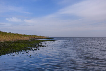 plant mariupol ukraine azovstal industry sunset slag environmental pollution, food, red, pepper, chili, spice, hot, dry, vegetable, dried, isolated, white, fresh, spicy, peppers, ingredient, healthy, 