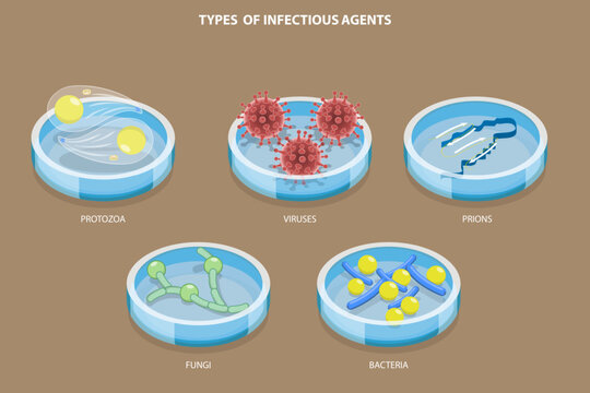 3D Isometric Flat Vector Set of Types Of Infectious Agents , Microorganism That Causes Diseases