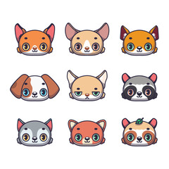 Collection of nine cute canines including fox, fennec fox, dingo, dog, tibetan sand fox, raccoon, wolf, dhole and raccoon dog