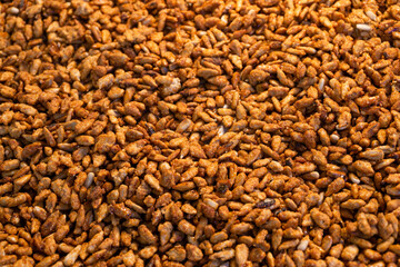 Close-up of caramelized sunflower seeds