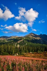 Fototapeta premium Beautiful mountain summer landscape. The famous Polish valley of Gasienicowa in the Tatra Mountains.