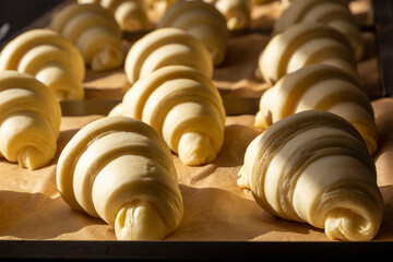 Raw rolled tray of formed croissants in the sun. Croissant production in the bakery