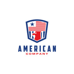 American Company Logo Design Vector