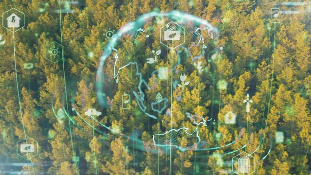Green forest aerial view and environmental technology concept. Green tech. Ecology. Green transformation. GX. SDGs. High quality 4k footage
