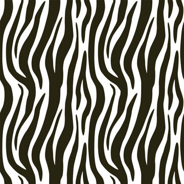 Zebra seamless pattern. Vector repeating background. EPS10.
