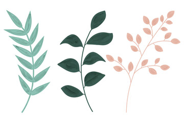 Set of twigs with leaves for illustration design in mint and pink color.