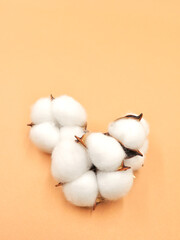 Fluffy cotton flowers on beige background flat lay. Delicate light beauty cotton background. Natural organic fiber, agriculture. spring card. High quality photo