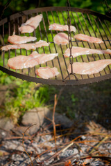 BBQ wheel with grilled chicken | Koło do grillowania z smażonym kurczakiem - obrazy, fototapety, plakaty