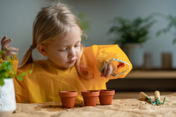 Adorable 4 years old caucasian blonde girl is planting flower seeds into small pots at home....
