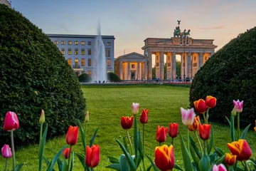 Fototapeten Berlin city, view of the illuminated Brandenburg Gate at Pariser Platz with a fountain and beautiful colorful tulips in the foreground in spring at sunset © Peter Jesche