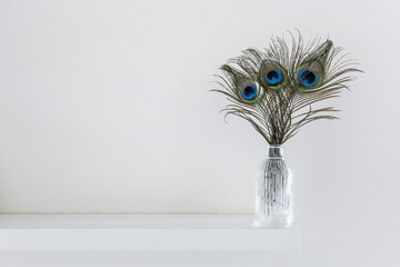 White wooden shelf with a clear glass vase with male peacock feathers
