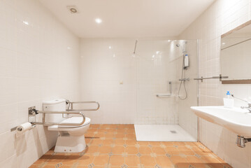 Large bathroom and porcelain sink under a frameless mirror and shower cabin with tempered glass screen and toilet with assistance for the disabled